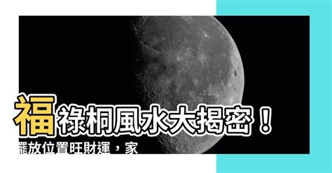 福 祿 桐擺放 位置|【福祿桐風水】找出福祿桐最旺宅的位置！家居招財、保平安一次。